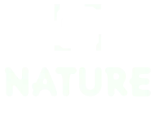 Logo 26