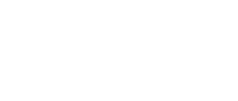 Logo 29